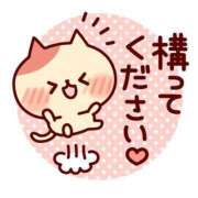 ヒメ日記 2025/08/01 07:45 投稿 あかね 横浜おかあさん