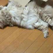 ヒメ日記 2025/08/01 13:05 投稿 あかね 横浜おかあさん