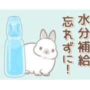 ヒメ日記 2025/08/21 08:15 投稿 あかね 横浜おかあさん