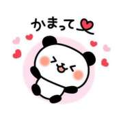 ヒメ日記 2025/10/13 10:08 投稿 あかね 横浜おかあさん