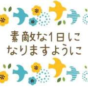 ヒメ日記 2025/10/28 07:25 投稿 あかね 横浜おかあさん
