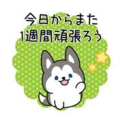 ヒメ日記 2025/11/17 12:35 投稿 あかね 横浜おかあさん