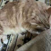 ヒメ日記 2025/11/25 15:25 投稿 あかね 横浜おかあさん