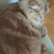 ヒメ日記 2025/12/20 09:04 投稿 あかね 横浜おかあさん