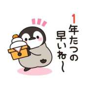 ヒメ日記 2025/12/31 17:25 投稿 あかね 横浜おかあさん