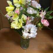 ヒメ日記 2026/01/11 07:15 投稿 あかね 横浜おかあさん