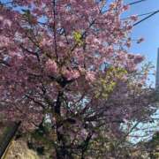 ヒメ日記 2026/03/08 18:05 投稿 あかね 横浜おかあさん