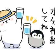 ヒメ日記 2026/05/20 08:41 投稿 あかね 横浜おかあさん