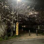 ヒメ日記 2026/04/13 15:30 投稿 しょうこ 錦糸町人妻セレブリティ（ユメオト）