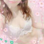 ヒメ日記 2025/02/01 09:09 投稿 真白れな 人妻百花