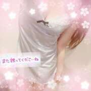 ヒメ日記 2026/02/17 20:47 投稿 真白れな 人妻百花