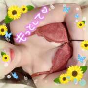 ヒメ日記 2026/03/17 09:46 投稿 真白れな 人妻百花