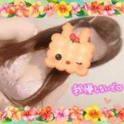 ヒメ日記 2026/06/09 08:56 投稿 真白れな ちょうどいい奥さん