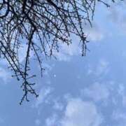 ヒメ日記 2025/04/16 15:16 投稿 あいか club さくら日本橋店