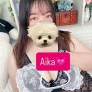 ヒメ日記 2026/01/15 13:16 投稿 あいか club さくら日本橋店