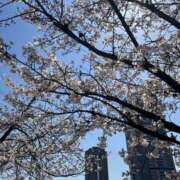 ヒメ日記 2025/04/21 13:21 投稿 あいか 奥様さくら日本橋店