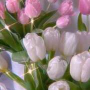 ヒメ日記 2025/05/10 18:56 投稿 あいか 奥様さくら日本橋店