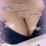 ヒメ日記 2026/06/29 14:56 投稿 あいか 奥様さくら日本橋店