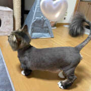 ヒメ日記 2025/05/22 17:53 投稿 猫宮くれは 厚木OL委員会