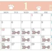 ヒメ日記 2026/01/13 21:03 投稿 猫宮くれは 厚木OL委員会