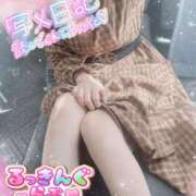 ヒメ日記 2025/02/20 14:15 投稿 叶夢 るっきんぐらぶ