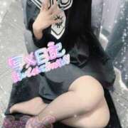 ヒメ日記 2025/04/11 14:55 投稿 叶夢 るっきんぐらぶ