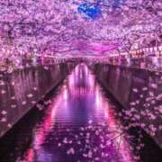 ヒメ日記 2025/03/27 13:41 投稿 つきの 丸妻 横浜本店