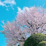 ヒメ日記 2025/04/09 14:40 投稿 つきの 丸妻 横浜本店