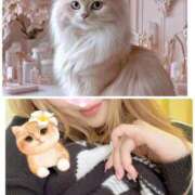 ヒメ日記 2026/02/22 14:28 投稿 つきの 丸妻 横浜本店