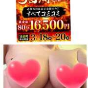 ヒメ日記 2026/03/19 12:24 投稿 つきの 丸妻 横浜本店