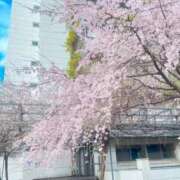 ヒメ日記 2026/03/29 01:21 投稿 つきの 丸妻 横浜本店