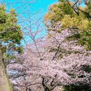 ヒメ日記 2026/04/02 15:41 投稿 つきの 丸妻 横浜本店