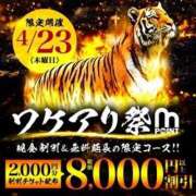 ヒメ日記 2026/04/23 12:01 投稿 つきの 丸妻 横浜本店