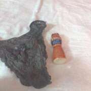 ヒメ日記 2025/04/21 08:43 投稿 りつ 桃李（とうり）