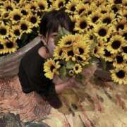 ヒメ日記 2025/08/21 00:57 投稿 りつ 桃李（とうり）