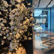 ヒメ日記 2025/04/16 16:31 投稿 もも 錦糸町人妻ヒットパレード（シンデレラグループ）