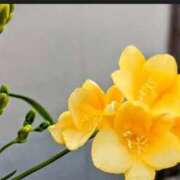 可能OP無料‼︎新人☆りの こんにちわ Club Milky Pink