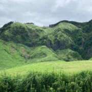 ヒメ日記 2024/07/18 08:54 投稿 川村 なほ マーベリック横浜