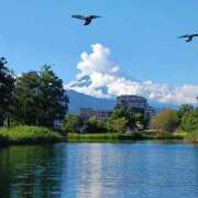 ヒメ日記 2025/02/13 09:44 投稿 川村 なほ マーベリック横浜