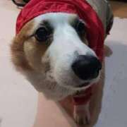 ヒメ日記 2025/03/16 15:04 投稿 川村 なほ マーベリック横浜