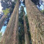 ヒメ日記 2025/03/19 15:07 投稿 川村 なほ マーベリック横浜