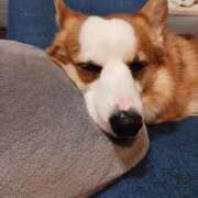 ヒメ日記 2025/03/29 12:05 投稿 川村 なほ マーベリック横浜