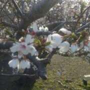 ヒメ日記 2025/04/06 19:34 投稿 川村 なほ マーベリック横浜