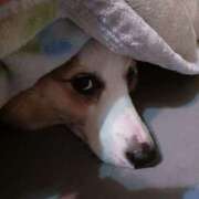 ヒメ日記 2025/04/09 15:14 投稿 川村 なほ マーベリック横浜