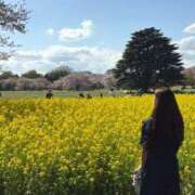 ヒメ日記 2025/04/17 02:54 投稿 川村 なほ マーベリック横浜