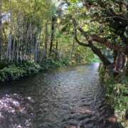 ヒメ日記 2025/04/23 17:34 投稿 川村 なほ マーベリック横浜