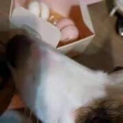 ヒメ日記 2025/04/27 16:24 投稿 川村 なほ マーベリック横浜