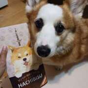 ヒメ日記 2025/05/14 00:04 投稿 川村 なほ マーベリック横浜