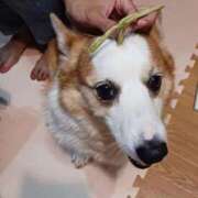 ヒメ日記 2025/09/10 02:34 投稿 川村 なほ マーベリック横浜