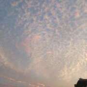 ヒメ日記 2025/10/19 02:14 投稿 川村 なほ マーベリック横浜